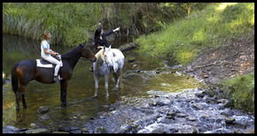 Glenworth Valley Horseriding - Tourism Cairns 1