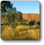 Uluru - Kata Tjuta National Park - Tourism Cairns 0
