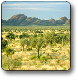 Uluru - Kata Tjuta National Park - Tourism Cairns 2