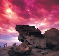Kangaroo Island Adventure Tour 2 day/1 night - Tourism Cairns