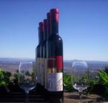 Mount Tamborine Winery  Homestead - Tourism Cairns