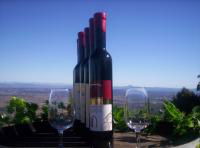 Mount Tamborine Winery & Homestead - Tourism Cairns 0
