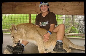 Cairns Wildlife Safari Reserve - Tourism Cairns 1