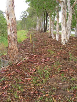 Kumbartcho Sanctuary - Tourism Cairns 1
