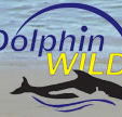 Dolphin Wild - Tourism Cairns
