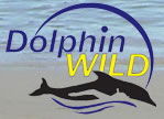 Dolphin Wild - Tourism Cairns 0