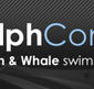 Dolphcom - Dolphin  Whale Swimming Adventures - Tourism Cairns