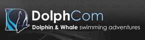 Dolphcom - Dolphin & Whale Swimming Adventures - Tourism Cairns 0