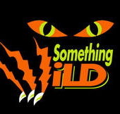Something Wild - Tourism Cairns