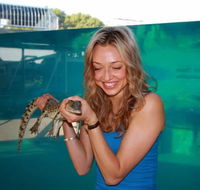 Crocosaurus Cove - Tourism Cairns