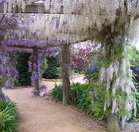 Abingdon Miniature Village - Tourism Cairns