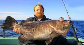 Bravo Fishing Charters - Tourism Cairns 0