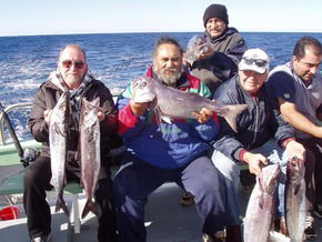 Bravo Fishing Charters - Tourism Cairns 1