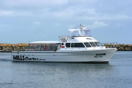 Mills Charters Fishing And Whale Watch Cruises - Tourism Cairns 1