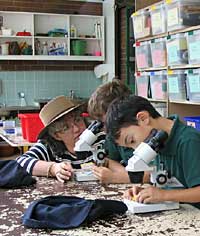 Australian National Botanic Gardens - Tourism Cairns 2