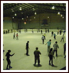 Bendigo Ice Stadium - Tourism Cairns 1