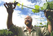  Tourism Cairns