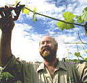 Barossa Experience Tours - Tourism Cairns