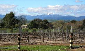 Buller View Wines - Tourism Cairns 0