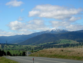 Buller View Wines - Tourism Cairns 2