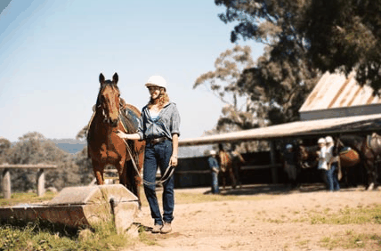 Watsons Trail Rides - Tourism Cairns