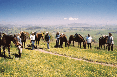 Watsons Trail Rides - Tourism Cairns 1