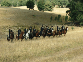 McCormacks Mountain Valley Trail Rides - Tourism Cairns