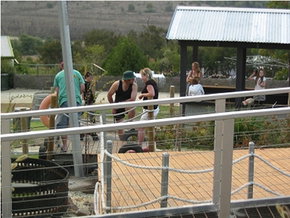 High Country - Tourism Cairns 0