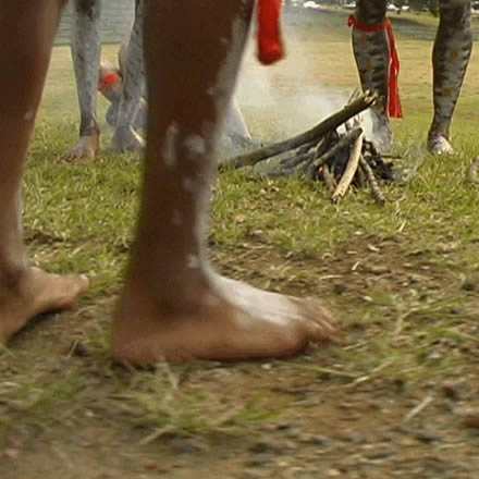 Musgrave Park Cultural Centre - Tourism Cairns 1