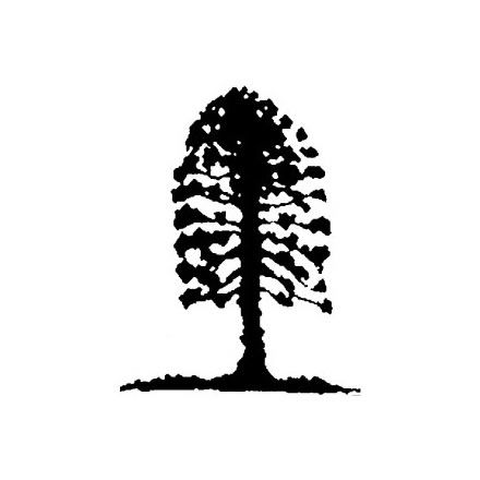 Musgrave Park Cultural Centre - Tourism Cairns 2