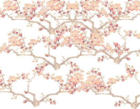 Zen Day Spa - Tourism Cairns 3