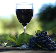 Lion Mill Vineyards - Tourism Cairns