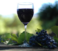 Lion Mill Vineyards - Tourism Cairns 0