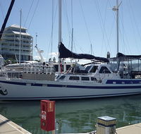Coral Sea Dreaming Dive and Sail - Tourism Cairns