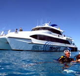 Silver Swift - Tourism Cairns