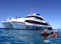 Silver Swift - Tourism Cairns 0