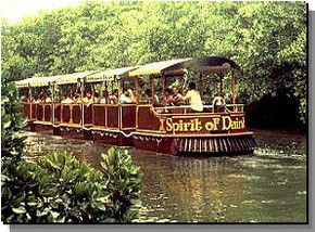 Daintree Rainforest River Trains - Tourism Cairns 0