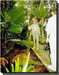 Daintree Rainforest River Trains - Tourism Cairns 1
