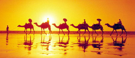 Banksia Adventures - Tourism Cairns 1