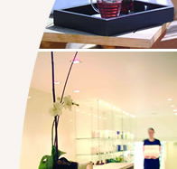 Lyall Hotel and Spa - Tourism Cairns