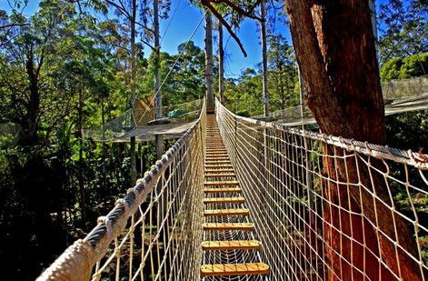 FreemanX Experience - Tourism Cairns 2