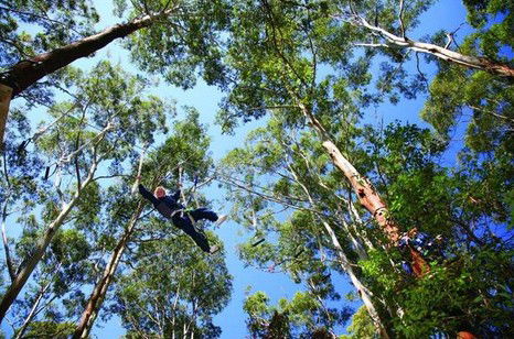 FreemanX Experience - Tourism Cairns 5