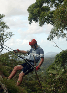 Adventures Around Brisbane - Tourism Cairns
