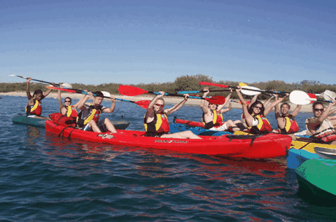 Australian Kayaking Adventures - Tourism Cairns 0