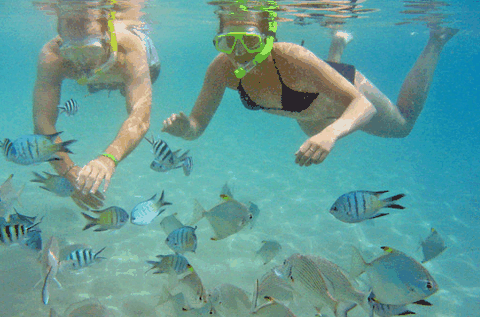 Australian Kayaking Adventures - Tourism Cairns 2
