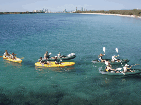 Australian Kayaking Adventures - Tourism Cairns 4