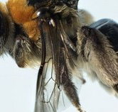 Western Australian Museum - Tourism Cairns