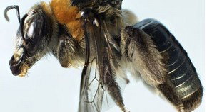 Western Australian Museum - Tourism Cairns 0