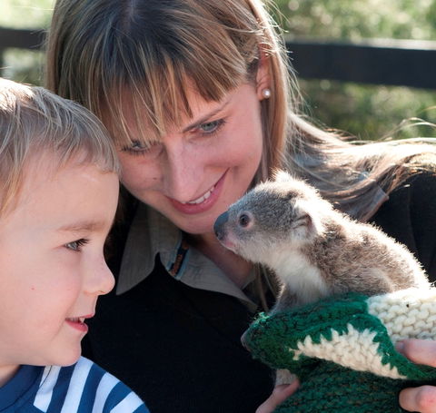 Australian Reptile Park - Tourism Cairns 1