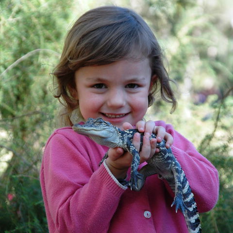 Australian Reptile Park - Tourism Cairns 2
